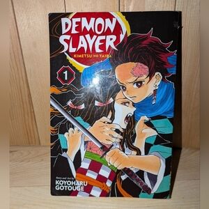 Demon Slayer Manga Volume 1